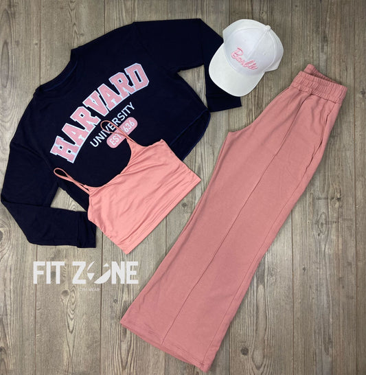 Trio basic joggers + top  + buzo Harvard navy  lt rosa