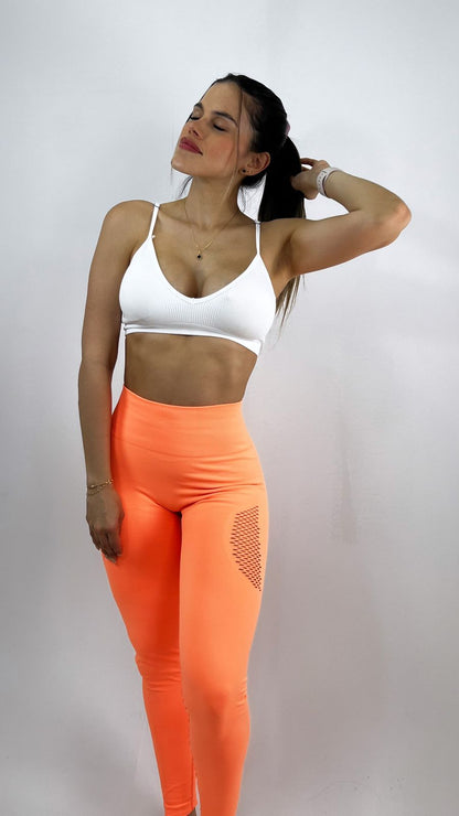 Licras Lisa malla push up