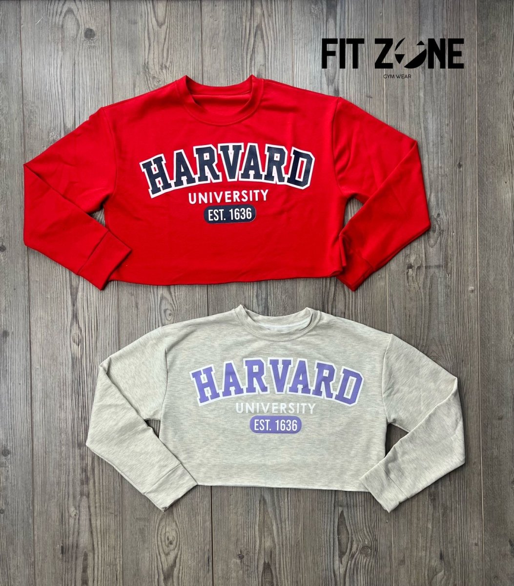 Buzo Harvard - Fitzone_ctg