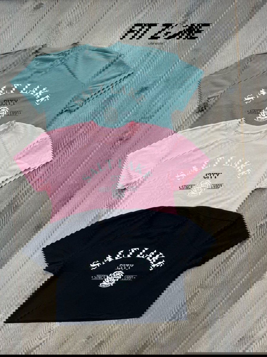 Salt lake - Fitzone_ctg
