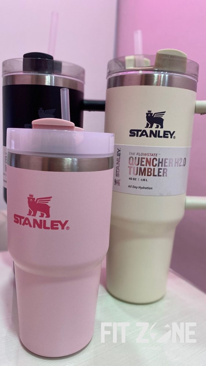 Termo stanley x 591 ml - Fitzone_ctg