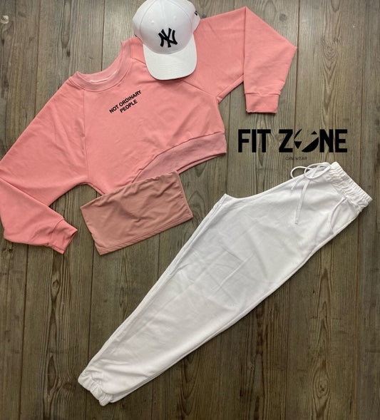 Trio basic joggers + top + buzo murcielago palo de rosa - Fitzone_ctg